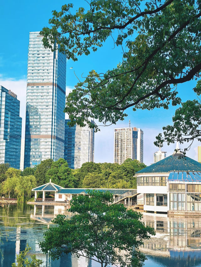 Hefei Xinghua Park’s Floating Book House | A Hidden Gem That’s Only Getting Better 📚🌸