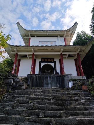 Taoyi Cave 🌳 