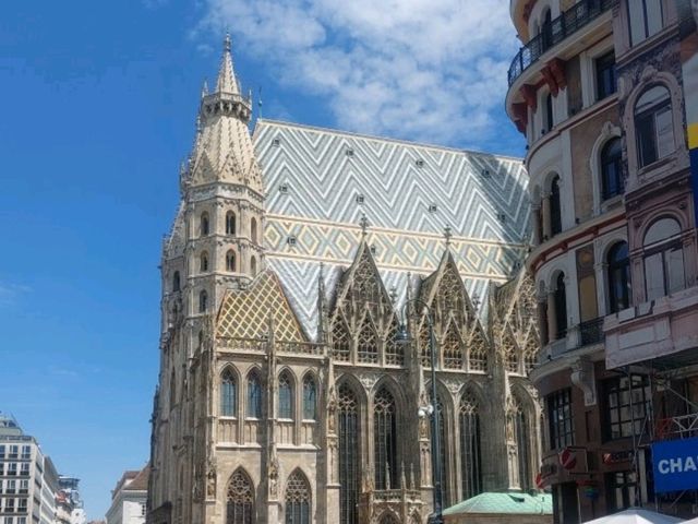 ⛪ 維也納必訪｜聖德斯望主教座堂與黑死病紀念炷