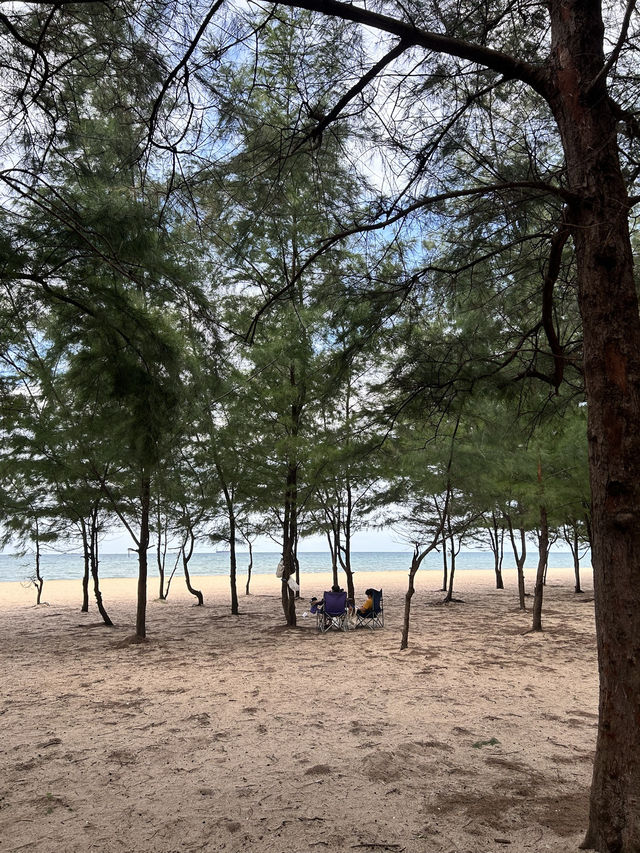 🌊 ทะเลระยอง High Season vs Low Season ☀️🌧