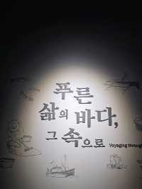 기대만땅되는곳