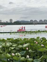 Xuanwu Lake: Nanjing’s 1,500-Year-Old Imperial Garden Where Lotus Blooms Meet City Skylines