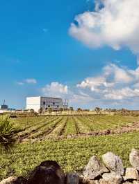 Enjoy Outdoor Amenities and Island Serenity