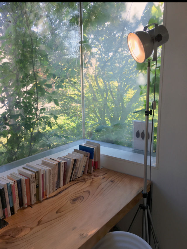 📚 평화와 문화가 공존하는 파주 1박 2일 여행코스