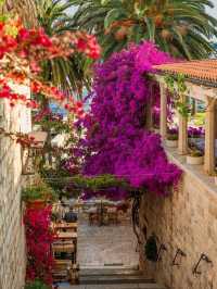 🌴 Hvar Highlights: Croatia’s Sun-Soaked Island Star