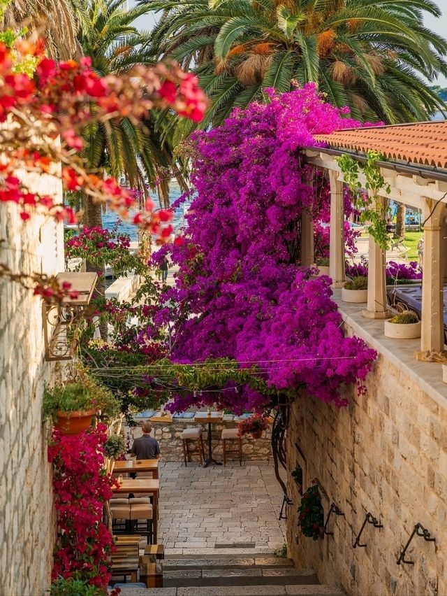 🌴 Hvar Highlights: Croatia’s Sun-Soaked Island Star