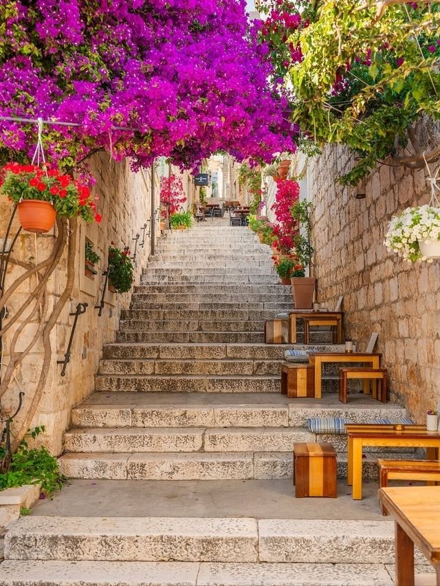 🌴 Hvar Highlights: Croatia’s Sun-Soaked Island Star