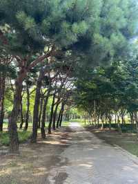 볼것도 많고 산책하기 좋은 서울숲