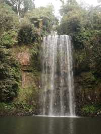 4 Days Trip in Cairns