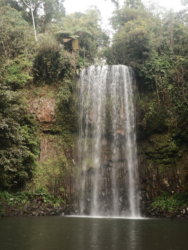 4 Days Trip in Cairns