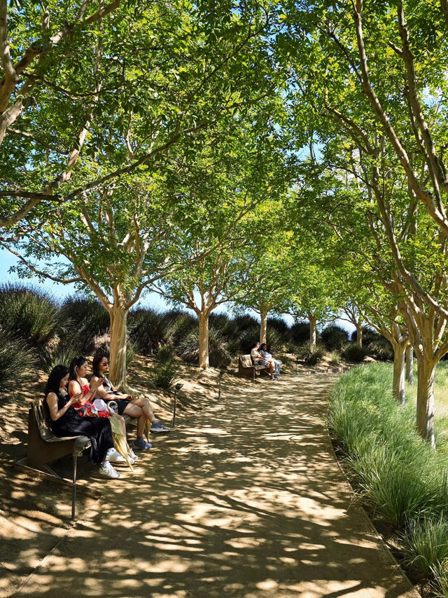 🌿 The Getty Center Garden – A Living Sculpture 🌿