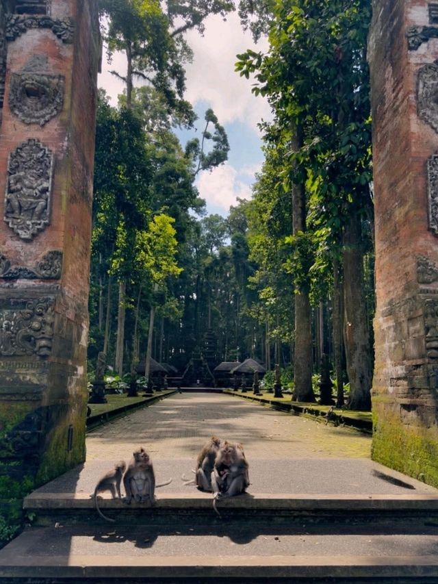 Sangeh Monkey Forest – A Peaceful Jungle in Bali