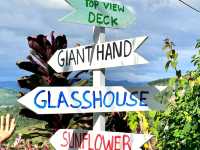 Sirao Flower Farm – A Colorful Escape in Cebu