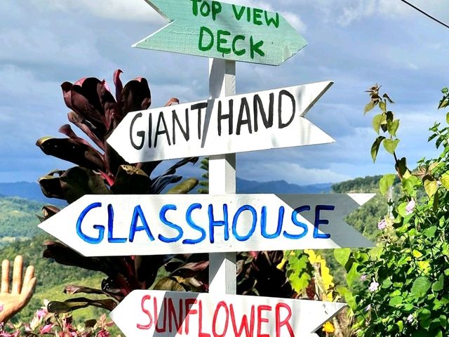 Sirao Flower Farm – A Colorful Escape in Cebu