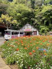 Kurihama Flower World in Yokosuka🌸🌹💐🌺🌷