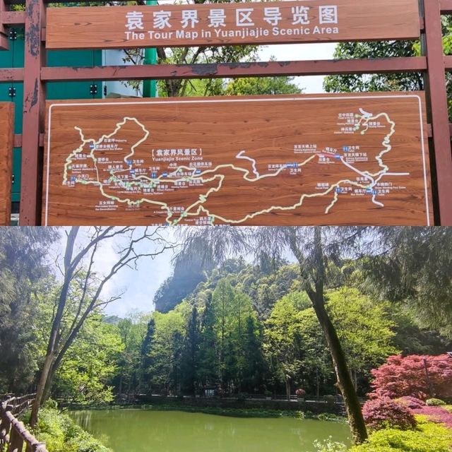 Into the Real-Life Avatar Mountains: A Zhangjiajie Adventure