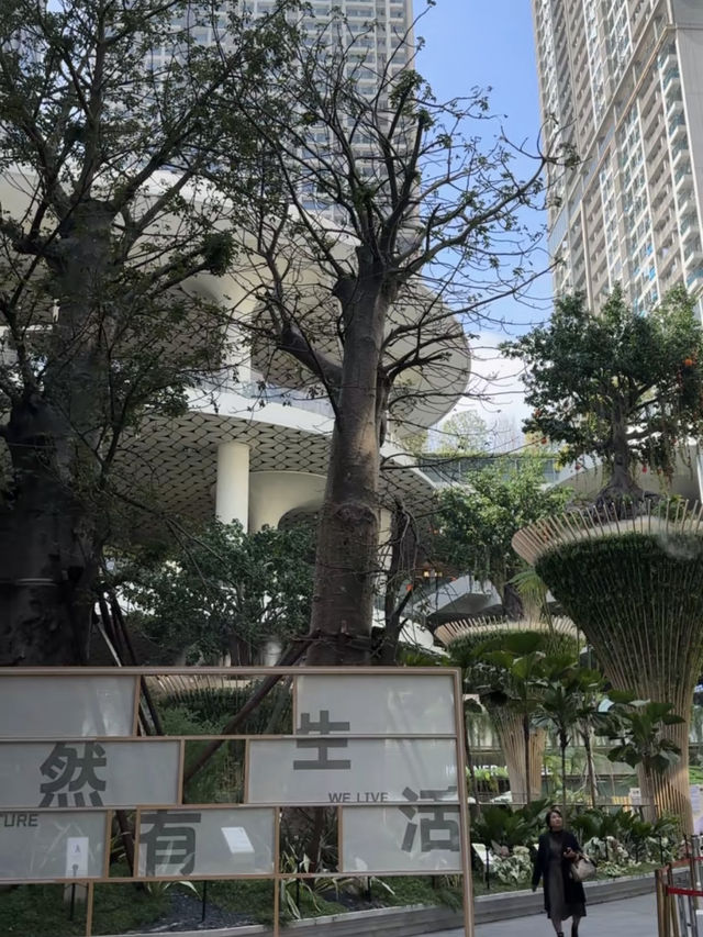Discovering Nature at Vanke Mall in Bantian, Shenzhen 🇨🇳