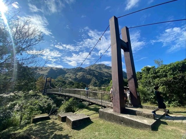 Experience the Tranquil Beauty of Qingtiangang Grassland