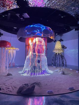 🚀 Naju Space Dream – космическое путешествие с вашим ребенком