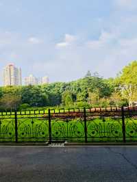 A Photographer's Canvas of Greenery, History, and Local Culture