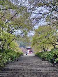 【大阪】勝尾寺