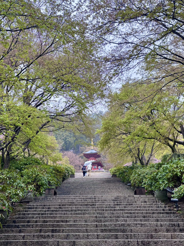 【大阪】勝尾寺