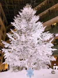 ✨ 丸の内クリスマス記録と2025 予測: 花と光の饗宴からマリオと共に彩る冬へ