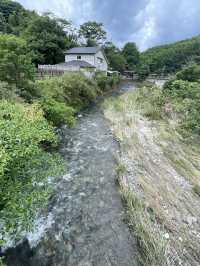 Nanzoin Temple 