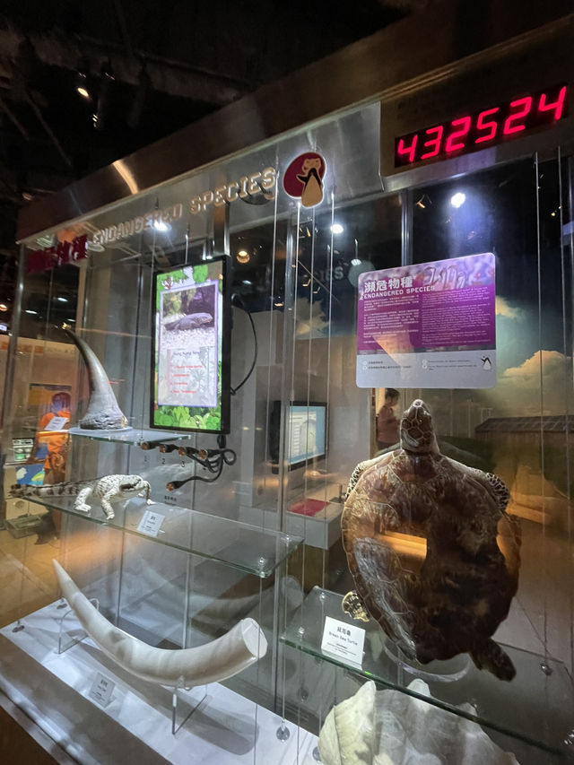🇭🇰 Jockey Club Environmental Conservation Gallery 🇭🇰 Jockey Club Environmental Conservation Gallery