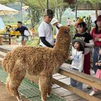 Exploring Mongo Land ĐlDa Lat – Fun, Photos, and a Touch of Mongolia