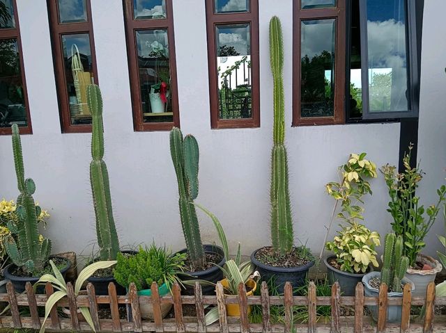 บ้านบนบัว บางบัวทอง