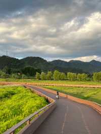 Whispers of the Lake: A Love Story in Lugu
