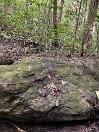 น้ำตกสันป่ายาง - อุทยานแห่งชาติดอยสุเทพ-ปุย 