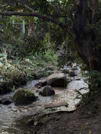 🌿✨ บ้านป่าเหมี้ยง หมู่บ้านเล็ก ๆ ท่ามกลางขุนเขา