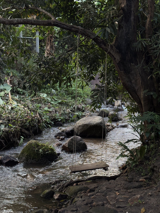 🌿✨ บ้านป่าเหมี้ยง หมู่บ้านเล็ก ๆ ท่ามกลางขุนเขา