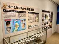 田沢湖駅 森と遺跡の展示室🚉🌿 站內發現考古驚喜！