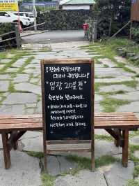협재 최고의 맛집 🩵