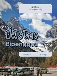 ปี้ผิงโกว (Bipenggou) เฉิงตู