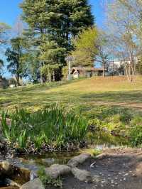 Otomeyama Park: A Peaceful Urban Retreat in Tokyo