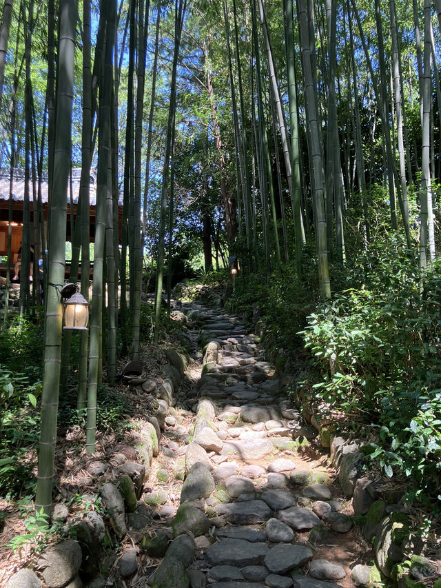 대숲 바람과 마루의 온도, 구례 쌍산재 산책
