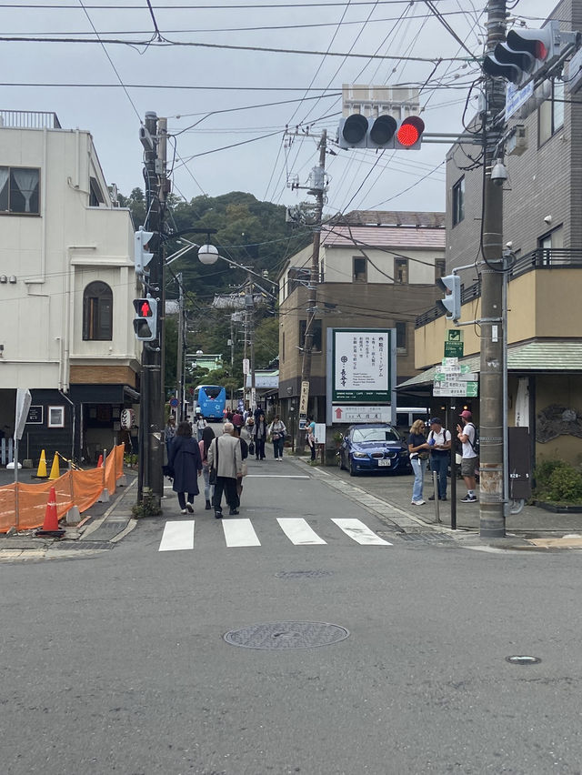 Kamakura ญีปุ่น 🇯🇵