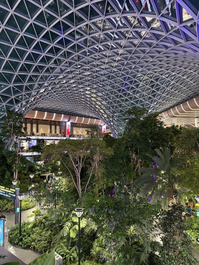 【🇶🇦カタール・ドーハ】ハマド国際空港