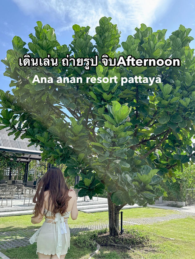 พาไปกิน Afternoon tea ที่พัทยาโรงแรม5ดาวกัน✨
