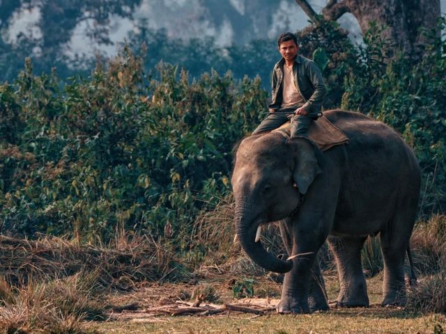 Chitwan National Park