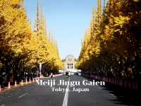 Meiji Jingu Gaien จุดชมใบไม้เปลี่ยนสีโตเกียว 🍂