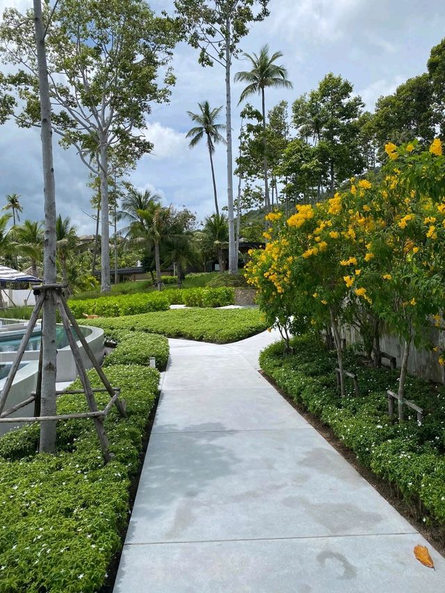 รีวิวที่พักHyatt Regency koh samui