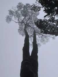廣東景點分享 丹霞山一日遊