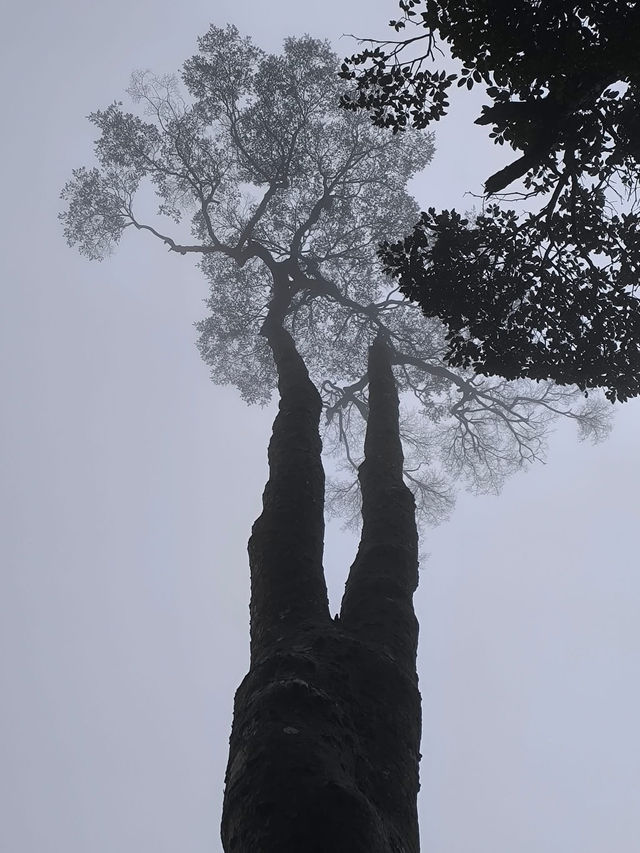 廣東景點分享 丹霞山一日遊 廣東景點分享 丹霞山一日遊