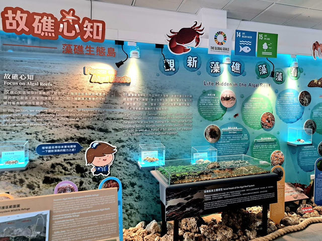 桃園新屋教育景點 藻礁生態環境教室 桃園新屋教育景點 藻礁生態環境教室