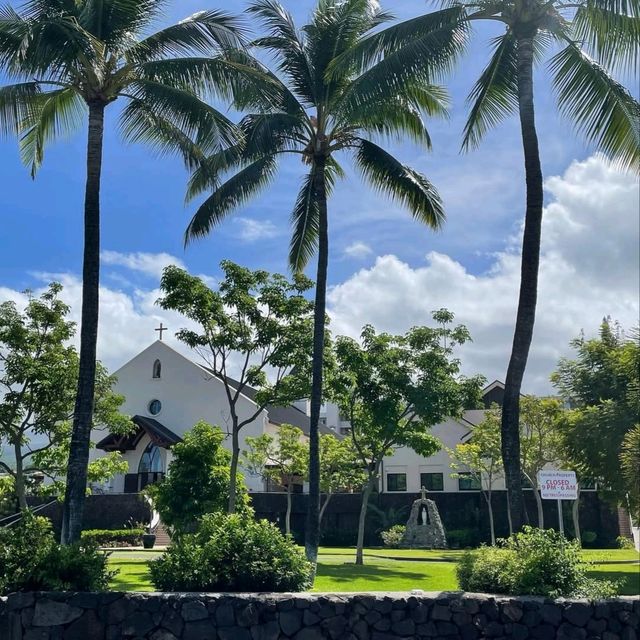 Laid Back Vibes in Kona